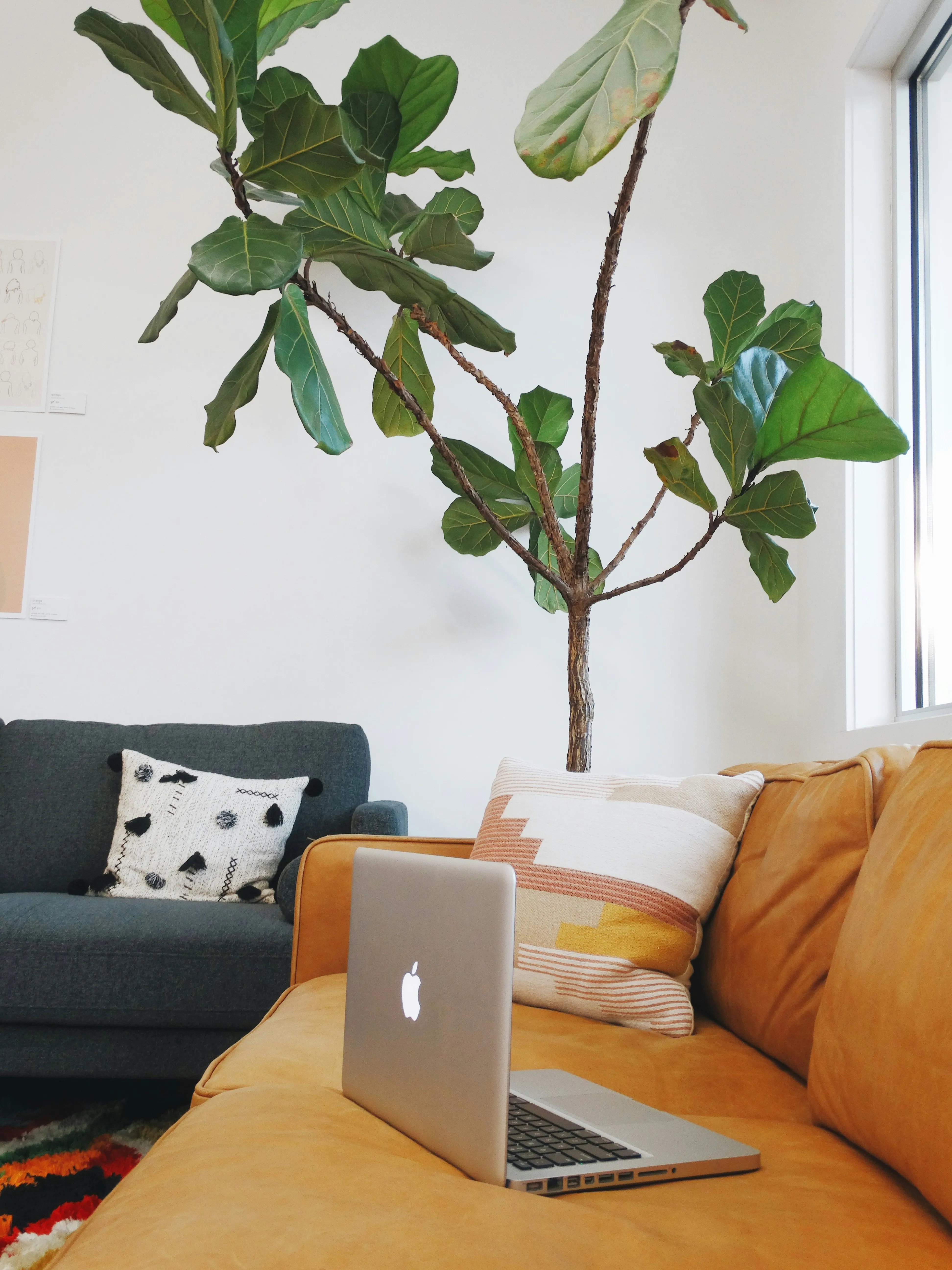 A bright, welcoming therapy space with natural light and greenery